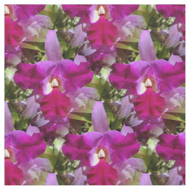 Tropisk Cattleya Orchidblomma Tyg (Närbild)