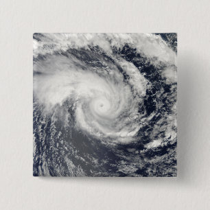 Tropisk Cyclone Edzani i den södra indiska Ocen Knapp