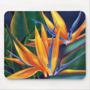 Tropisk fågel av paradiset Mousepad Musmatta