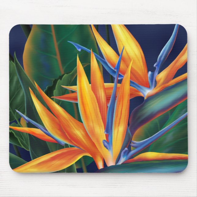 Tropisk fågel vid Paradise Mousepad Musmatta (Framsidan)