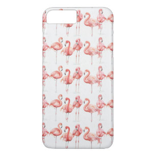 Tropisk Familj av flamingos