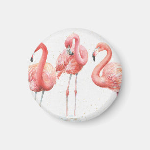 Tropisk familj av Flamingos Magnet