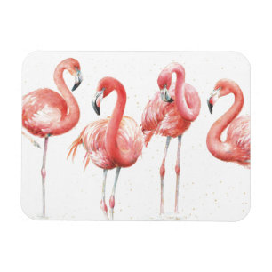 Tropisk familj av Flamingos Magnet