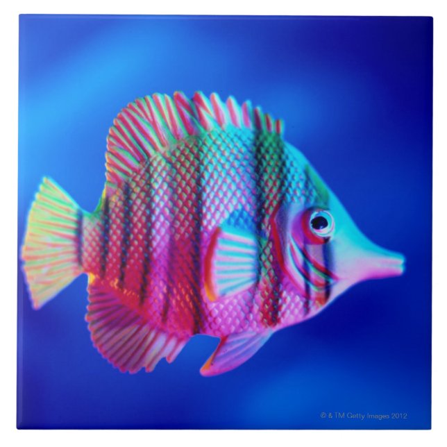 Tropisk fisk kakelplatta (Framsidan)