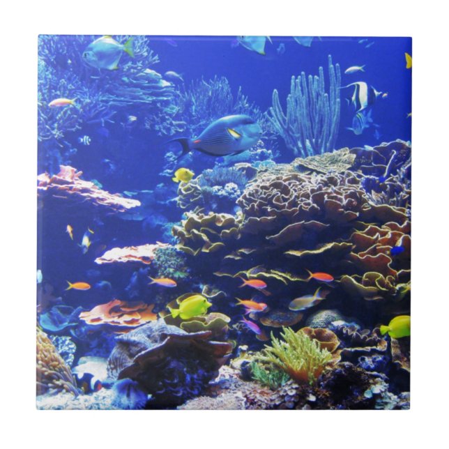 Tropisk fisk kakelplatta (Framsidan)