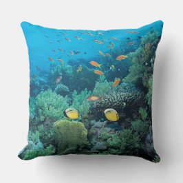 Tropisk fisk som simmar över reven kudde