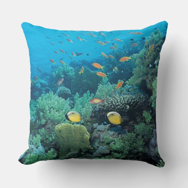 Tropisk fisk som simmar över reven kudde (Framsida)