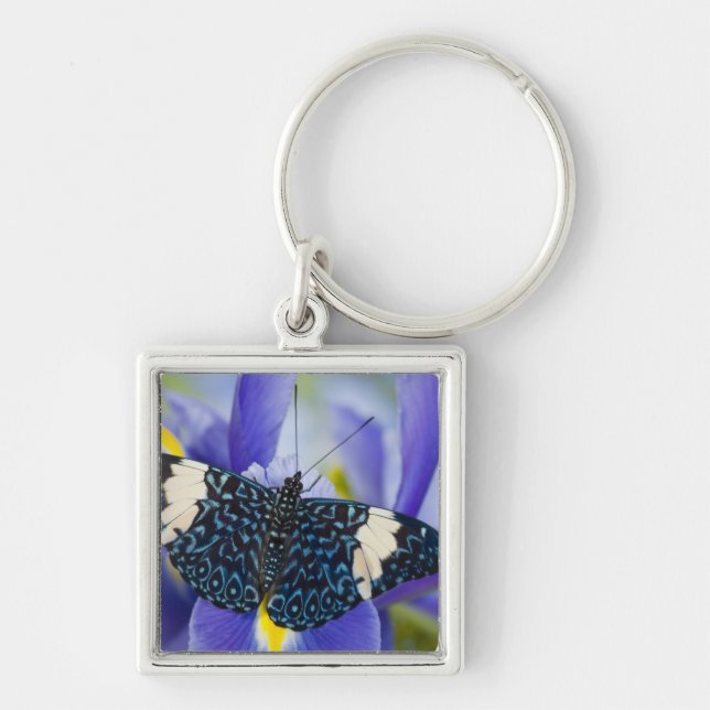 Tropisk fjäril Lila Iris Fyrkantig Silverfärgad Nyckelring (Framsidan)