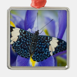 Tropisk fjäril Lila Iris Julgransprydnad Metall