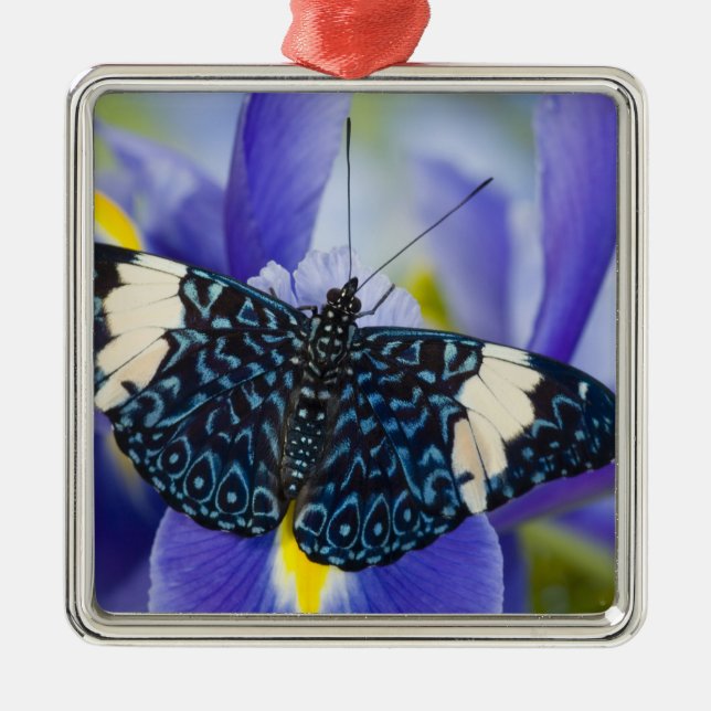 Tropisk fjäril Lila Iris Julgransprydnad Metall (Framsidan)
