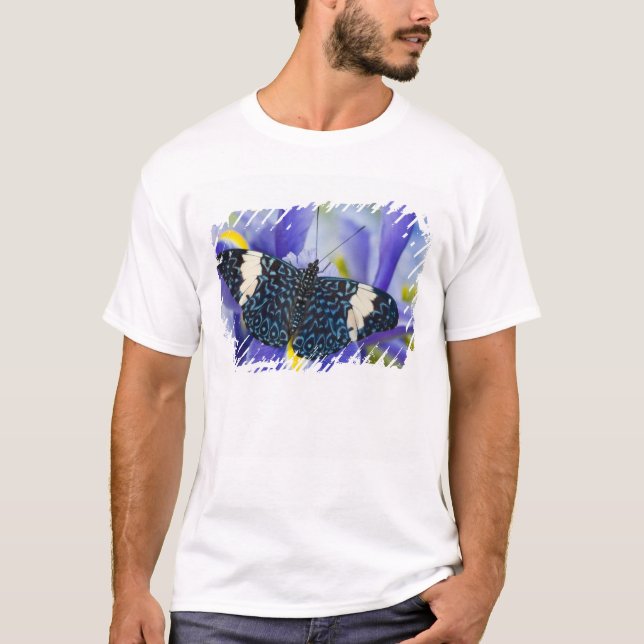 Tropisk fjäril Lila Iris Tee Shirt (Framsida)