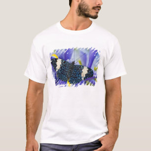 Tropisk fjäril Lila Iris Tröja