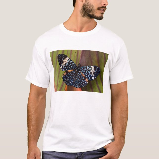Tropisk fjäril t-shirt (Framsida)