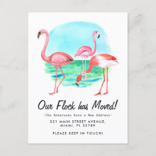 Tropisk Flamingo Flock Flyttad Ny Adress Flytt Meddelande Vykort