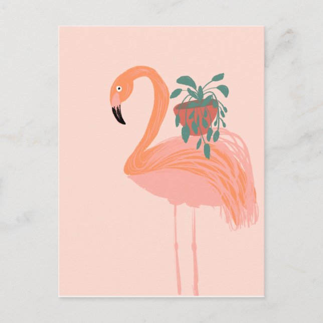 Tropisk Flamingo med krukväxt Handritad    Vykort (Framsida)