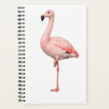 Tropisk Flamingo och Macaw Papegoja Dubbel Omslag