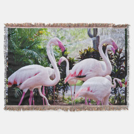 Tropisk Flamingo Paradis Kastrull Täcke Filt