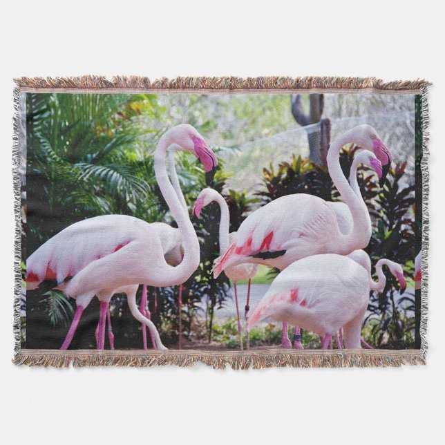 Tropisk Flamingo Paradis Kastrull Täcke Filt (“Bring the tropics home with these graceful flamingos.”)