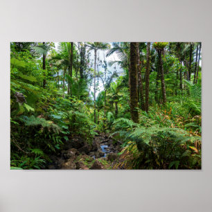 Tropisk flora av el-unque regnskog poster
