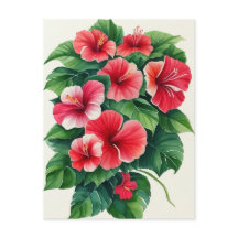 Tropisk Flora Ljus Röd Hibiskus