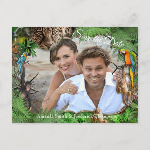 Tropisk Flora Paradise & Birds Meddelande Vykort