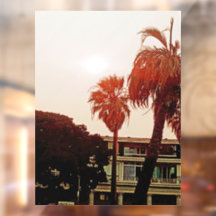 Tropisk fönsterklämning