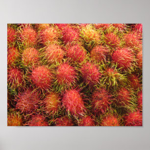 Tropisk frukt för Rambutan Poster