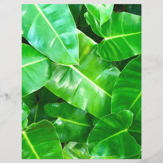 Tropisk Grönt Foliage (Framsida)