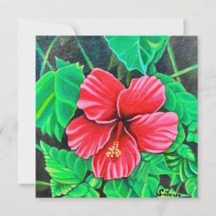 Tropisk Hibiscus