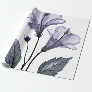 Tropisk hibiscus-blomma presentpapper