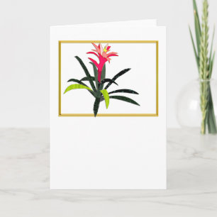 Tropisk julbromeliad helgkort