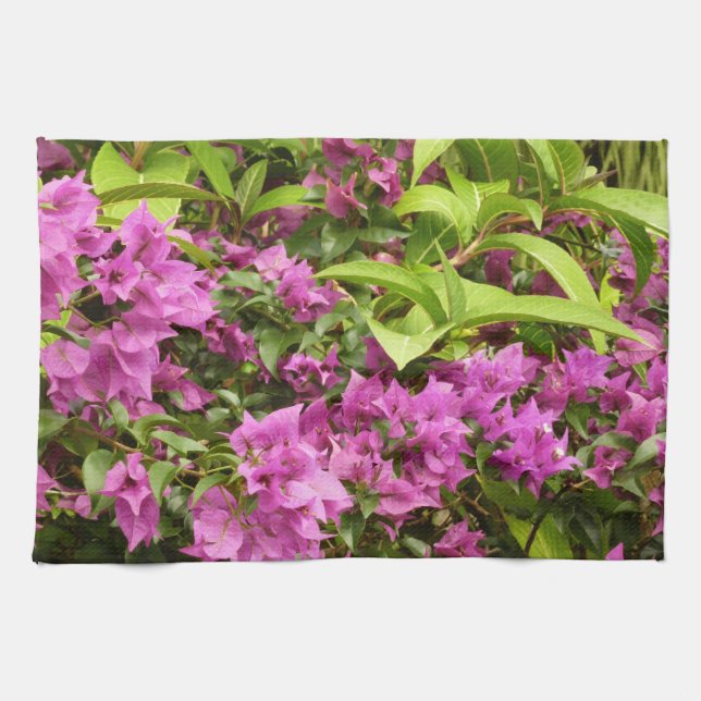 Tropisk lila Bougainvillea Blomma Kökshandduk (Horisontell)