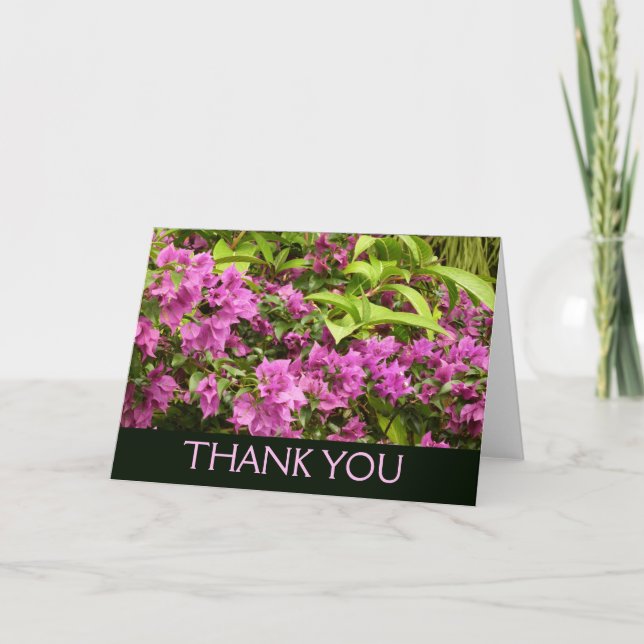 Tropisk lila Bougainvillea Blomma Tack Kort (Framsida)