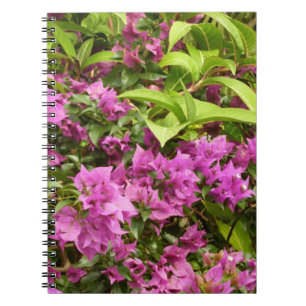 Tropisk Lila Bougainvillea Blommigt Anteckningsbok Med Spiral