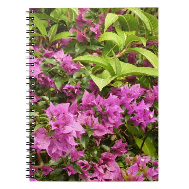 Tropisk Lila Bougainvillea Blommigt Anteckningsbok Med Spiral (Framsidan)