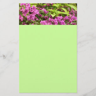 Tropisk Lila Bougainvillea Blommigt Brevpapper