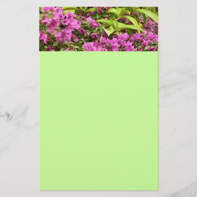 Tropisk Lila Bougainvillea Blommigt Brevpapper (Framsida)