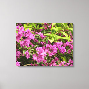 Tropisk Lila Bougainvillea Blommigt Canvastryck