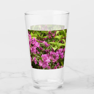 Tropisk Lila Bougainvillea Blommigt Glaskopp