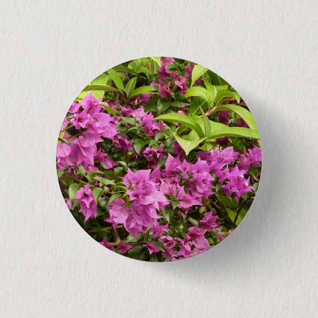 Tropisk Lila Bougainvillea Blommigt Knapp (Framsida)