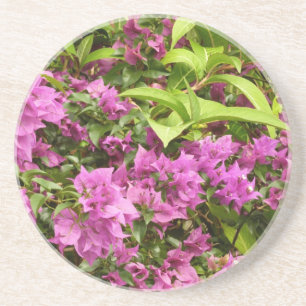 Tropisk Lila Bougainvillea Blommigt Underlägg Sandsten