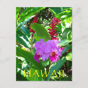 Tropisk Lila Hawaii Flower Vykort