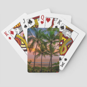 Tropisk nationalpark för strand Corcovado Casinokort