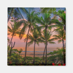 Tropisk nationalpark för strand Corcovado Magnet