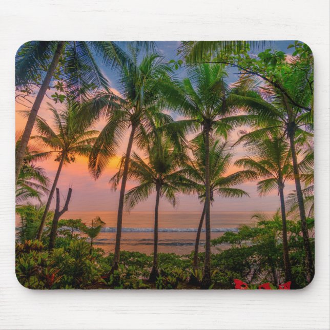 Tropisk nationalpark för strand | Corcovado Musmatta (Framsidan)