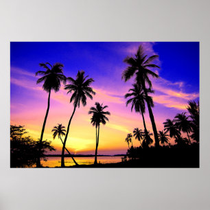 Tropisk ösolnedgång över Sri Lanka Poster