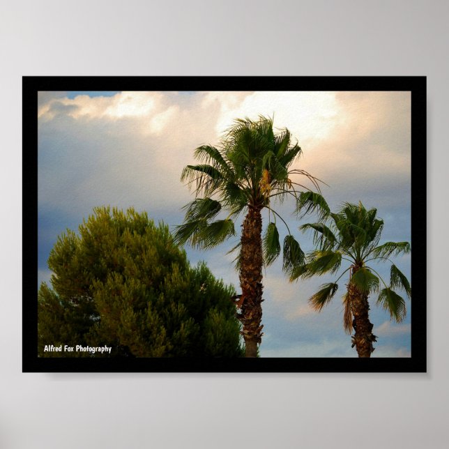 Tropisk Palm Trädiskt Skymning Poster (Framsidan)