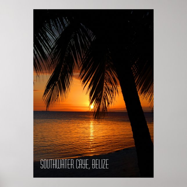 Tropisk palmerträdssolnedgång i Belize Poster (Framsidan)