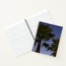 Tropisk Palmtrexs Väggkonst Skymning Kustnära