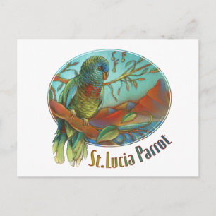 Tropisk papegoja av Saint Lucia Vykort